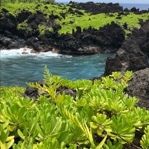 Meet your Posher, Tanja